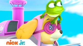 #мультики Щенячий патруль Щенки спасают летающую лягушку Nick Jr Россия