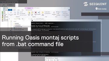 Running Oasis montaj scripts from .bat command file