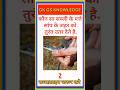 कौन सा सब्जी के Gk Question || Gk In Hindi || Gk Question And Answer || Gk Quiz || Ssc || All Exam