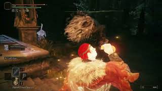 Elden Ring Brigid Of Kaiden Vs Serosh Beast