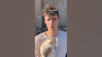 🤷🏻‍♂️ #cats #funnycats #catsoftiktok #dating #catlover #catsofinstagram