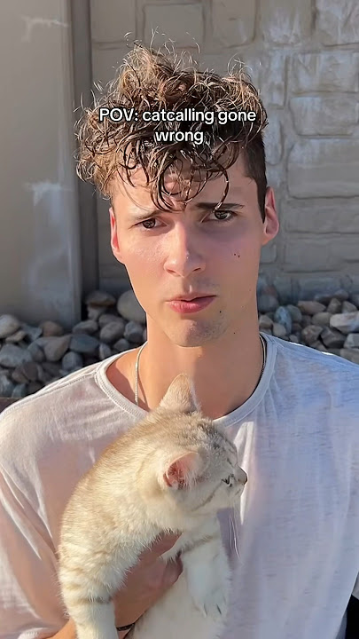 🤷🏻‍♂️ #cats #funnycats #catsoftiktok #dating #catlover #catsofinstagram