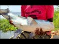 🐟😨Fish Catching 🎣 Amazing ||# Big Catla Fish Catching ||Hook Fishing.
