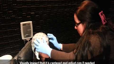 EEG Electrode Cap Setup