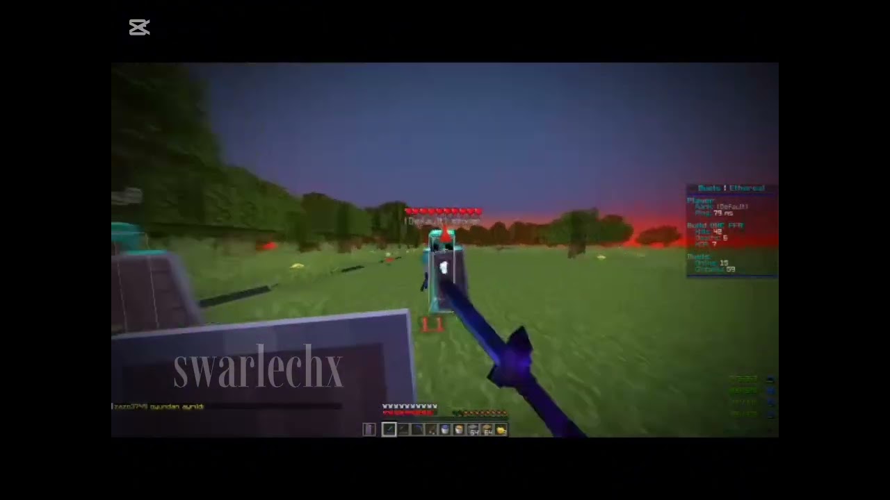 Ethereal Network kill montage 1