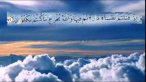 تلاوة الآيات من 71 إلى 75 لسورة البقرة