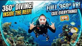 360 Degree VR Video of Scuba Diving In Playa Del Carmen