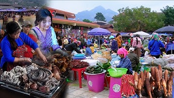 Chợ phiên đặc biệt nhất Việt Nam – Đến là quên lối về, đã về gây thương nhớ / Chợ vùng cao Tây Bắc