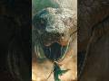 #Congo jungle#junghoseok #shortvideo #snake