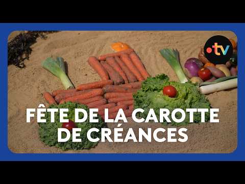 Créances Carrot Festival: But where did the local vegetables go?