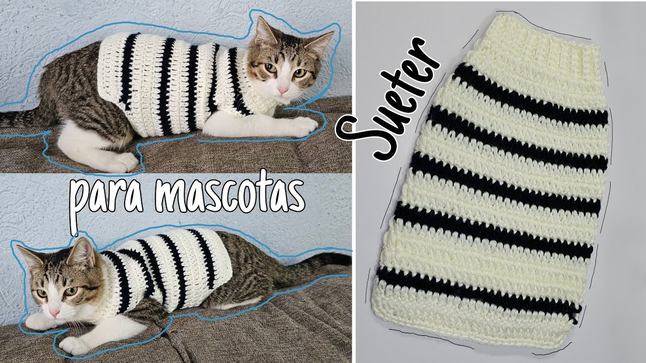 lana ropa tejida para gatitos