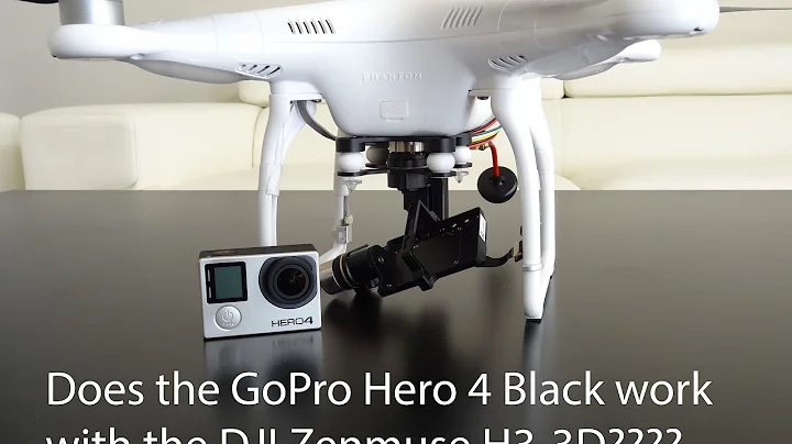 GoPro Hero 4 work with the DJI Zenmuse H3-3D?