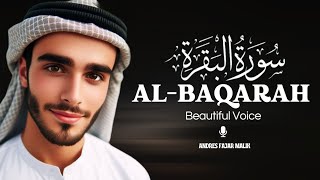 Surah Al-Baqarah - سورة البقرة | Peaceful Soft Quran For Deep Sleep - Stress Relief - & Healing screenshot 1