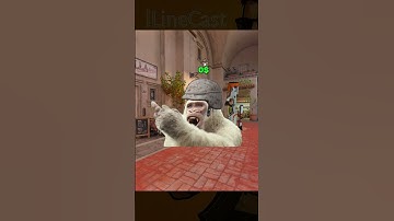 sorry bro wkwk #cs2 #csgo #cs2clips #cs2moments #cs2highlights #cs2memes #cs2funny