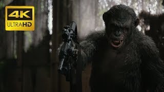 Koba Uses Machine Gun Dawn Of The Planet Of The Apes Ultrahd Best Sound Quality