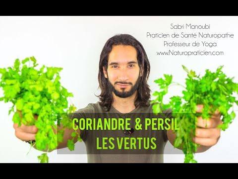 Vidéo: Différence Entre Le Persil Et La Coriandre