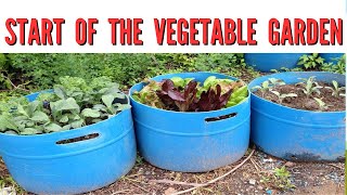 My Container Vegetable Garden.