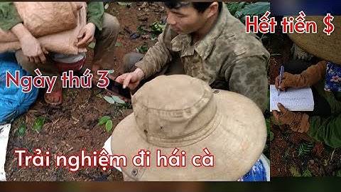 Trải nghiệm đi hái cà phê thuê và cái kết bất ngờ_ngày 3/ Nông Dân Tây Nguyên #66
