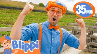 blippi learns about fruits and vegetables at tanaka farms best of blippi toys