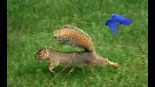 Charr Crail Photographic Portfolio