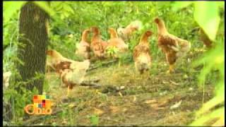 The Farmer-Chef Connection