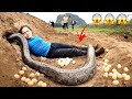 Impossible giant snake lay eggs hunters saving girl  mike fishing