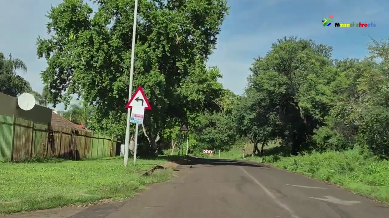 Pretoria | Man-made jungle | Urban forest | 70 000 Jacaranda Trees | SouthAah