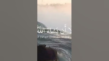 آيات بينات من الذكر الحكيم 🌺🌼