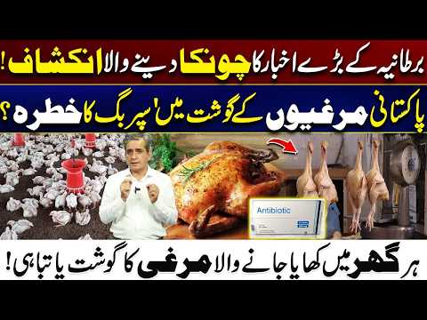 Pakistani Chicken Under Superbug Threat? Shocking Report Sparks Health Alert | City 21