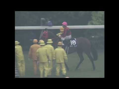 2004年安田記念　ツルマルボーイ