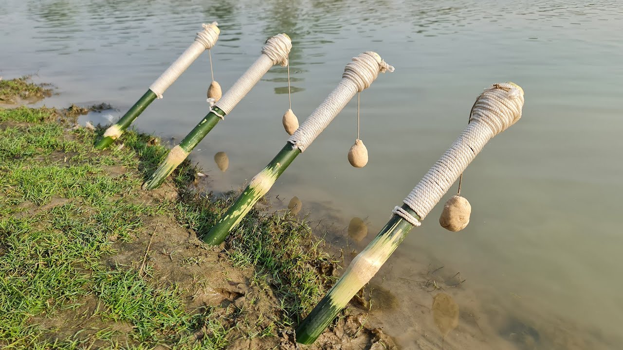 The BEST Fisherman's Guide to Catching HUGE Fish with Simple Hook