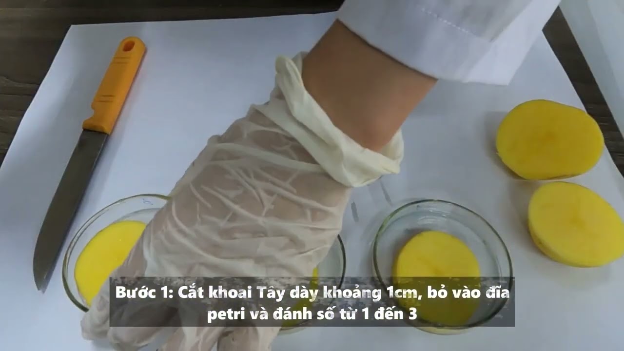 Phân tích ảnh hưởng của nhiệt độ đến hoạt tính của enzyme Catalase | Sinh học