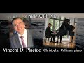 Vincent Di Placido - Abide with Me