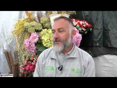 Video: Giardino Farmaceutico: Piante Medicinali Che Possono Essere Coltivate Nel Paese