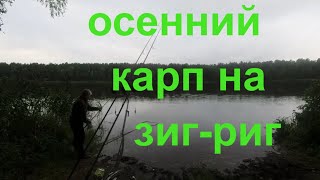 Современный карпфишинг. Карповая рыбалка на зиг-риг.