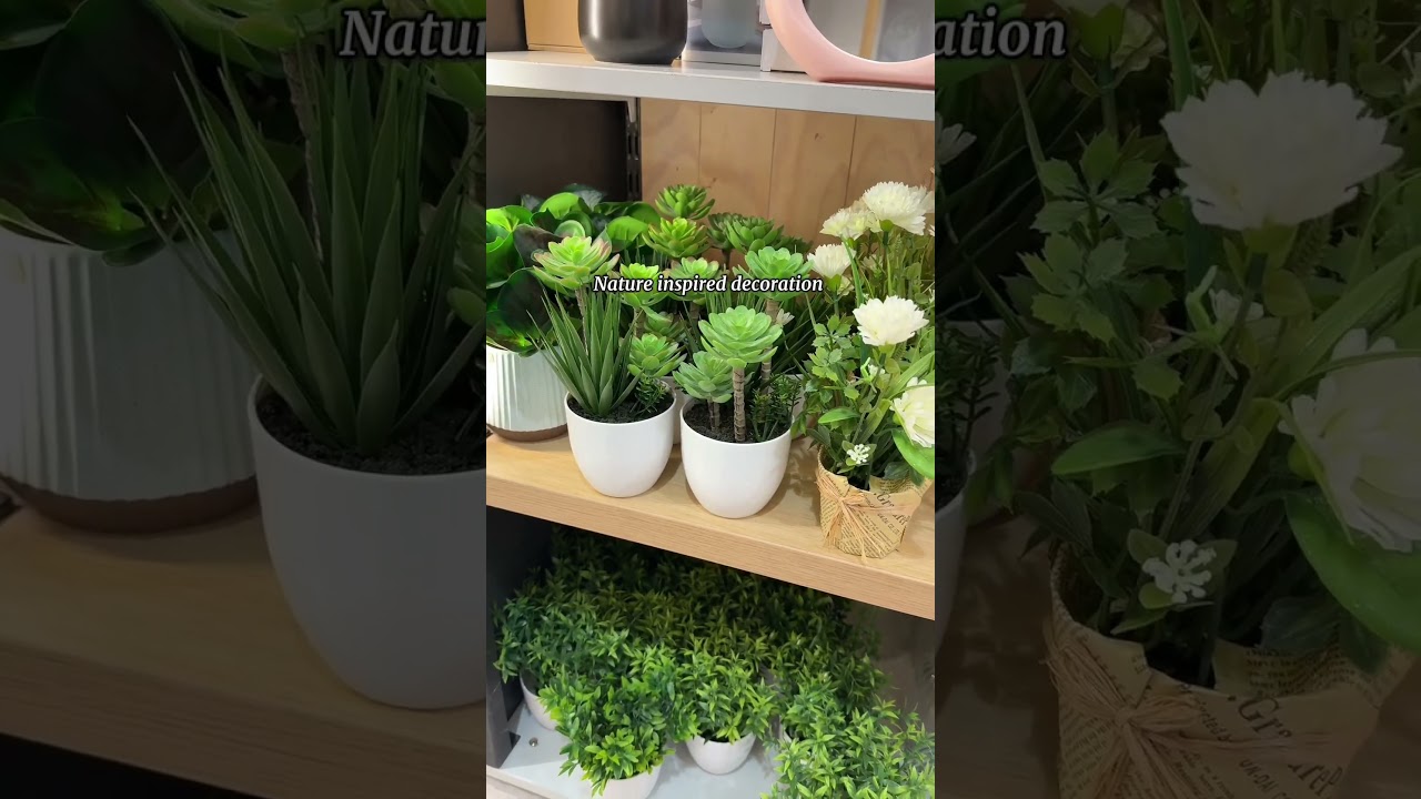 5 spa essentials in Nobila Casa 