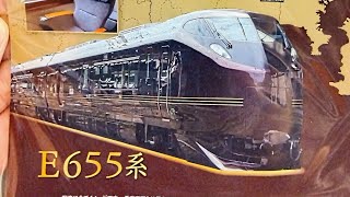 【クラブツーリズム鉄道部】E655系なごみで行く新宿→白馬片道の旅 終点白馬到着