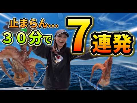 明石タコ釣り】なぜかこのカラーだけ止まらん30分で7連発