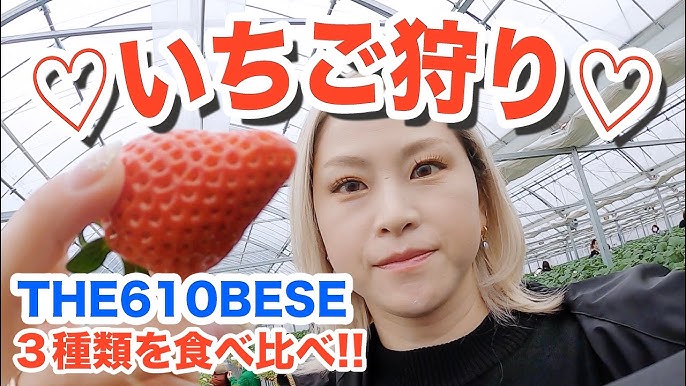 元中六人部小学校をリノベーションした The610base いちご狩り 甘くて大きい3種類のいちごを食べ比べ 京都府福知山市 Youtube 元中六人部小学校をリノベーションした The610base いちご狩り 甘くて大きい3種類のいちごを食べ比べ 京都府福知山市 Youtube