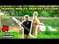 Trapping the WORLD'S SMARTEST RACCOON in My BACKYARD!!! (RIP Chickens)