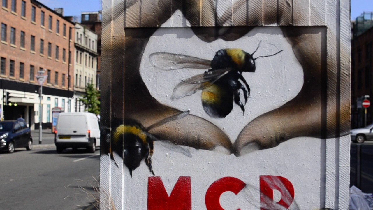 Manchester- 'This is the Place' Tribute Video