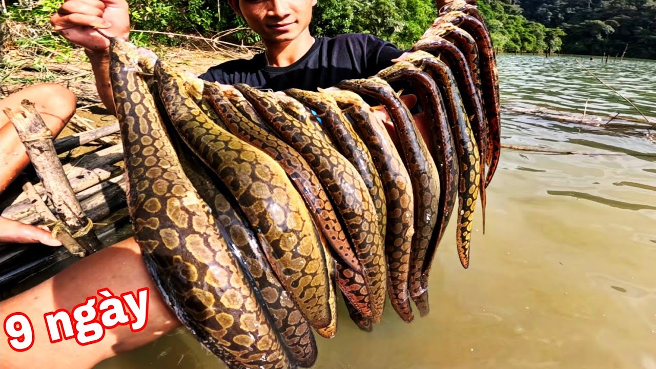 Quá Đáng Sợ Cá CHẠCH Rừng RẤT Nhiều | 9 Ngày Ngủ Rừng Mưa Trên Hồ Thụy Điện Đồng Nai 5