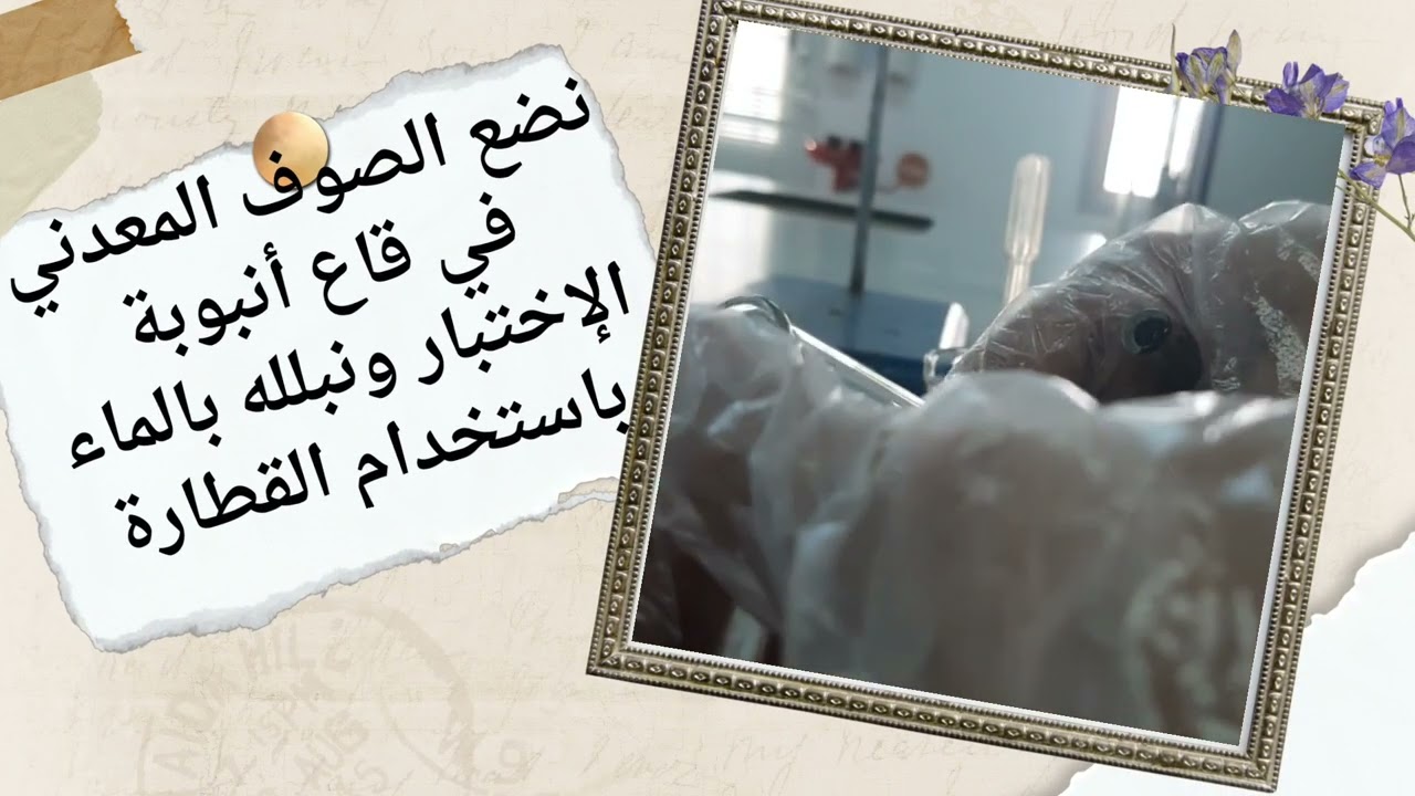 تفاعل الصوف الحديدي مع بخار الماء  نشاط ١-٢ الصف العاشر كيمياء