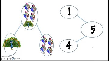 Grade K Module 4 Lesson 3