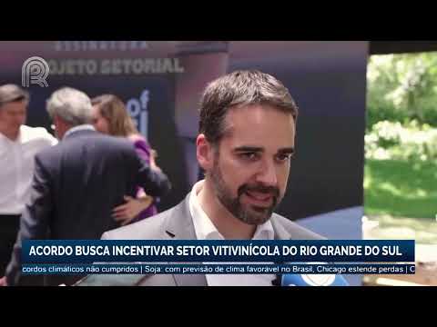 Acordo busca incentivar setor vitivinícola do Rio Grande do Sul | Canal Rural