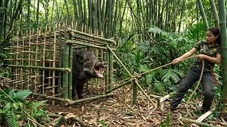 Deep Forest Survival | Hunting Wild Boars and Crafting Dangerous Traps in the Wilderness