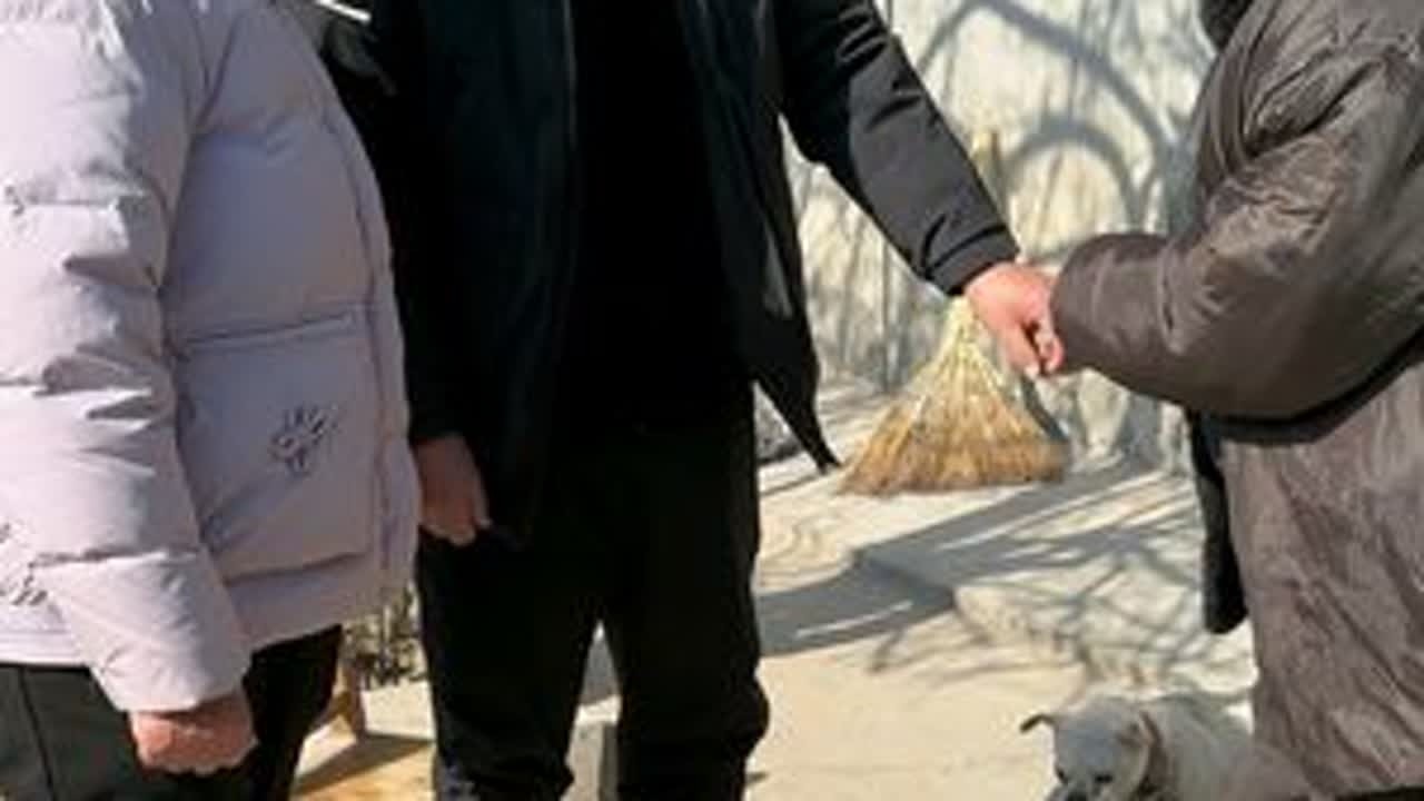 公婆要去我娘家看看大爷，因为我他们认识，处成了最好的亲家……#农村生活 #老家 #婆媳 #记录真实生活