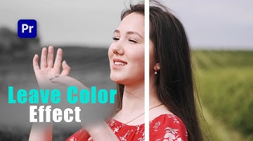 leave color effect premiere pro tutorial