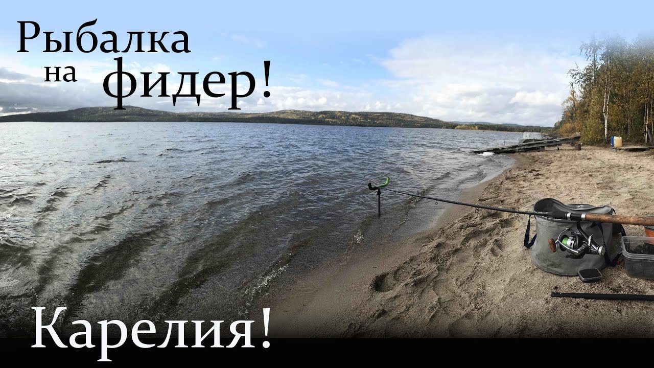 Пяозеро. Рыбалка на фидер в Карелии! - YouTube