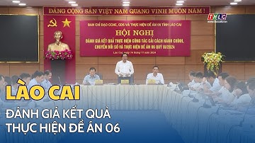Đánh giá tình hình triển khai công tác CCHC, chuyển đổi số, thực hiện Đề án 06 quý III năm 2024